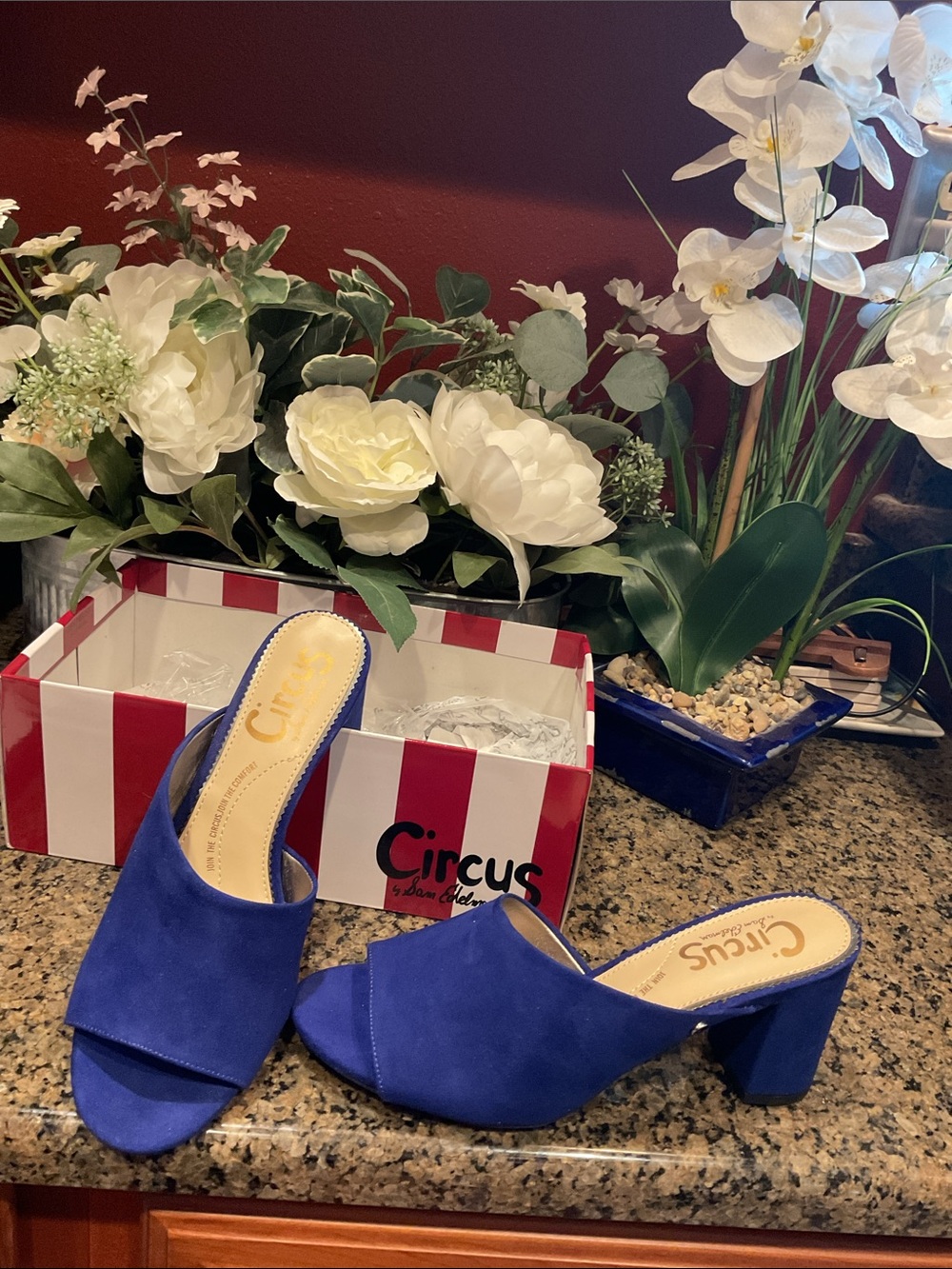 Circus by Sam Edelman Cobalt Suede Open-Toe Block Heel Mules